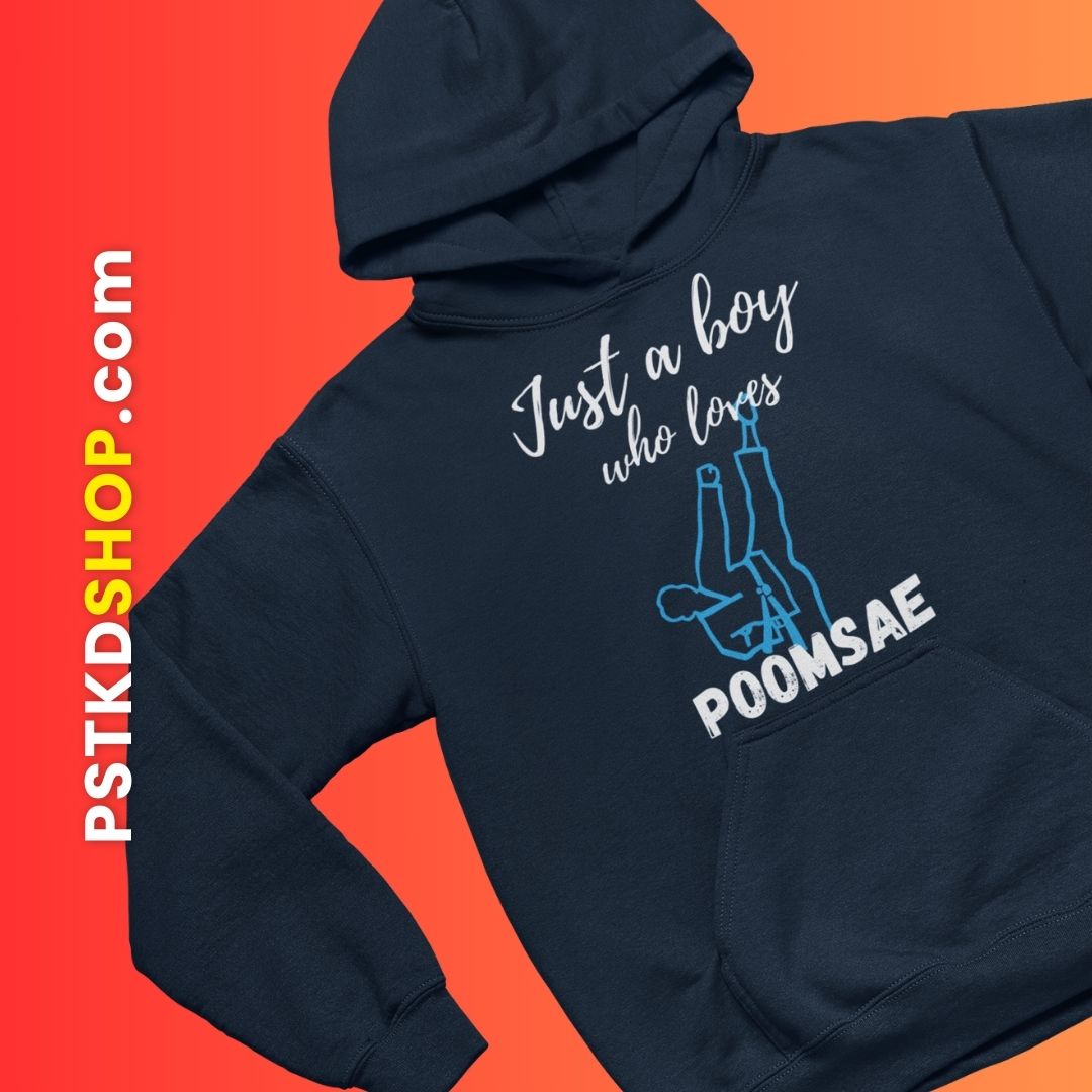 Just a Boy Who Loves Poomsae Hoodie
